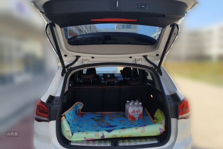 BMW X1 2020 car image #16