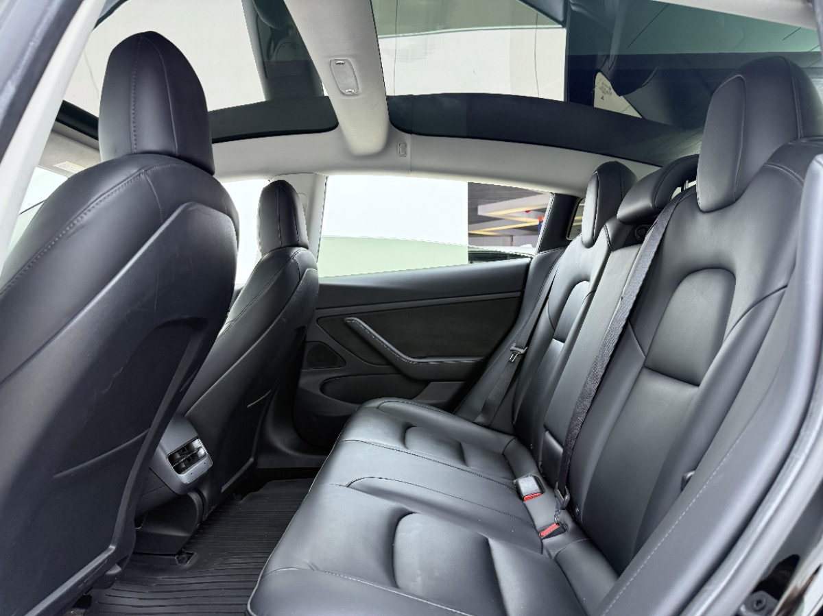 Tesla Model 3 2020 car image #5