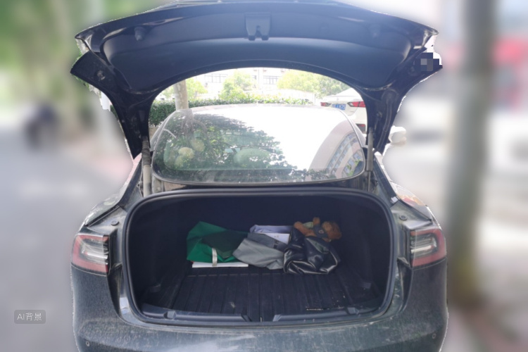 Tesla Model 3 2022 car image #21