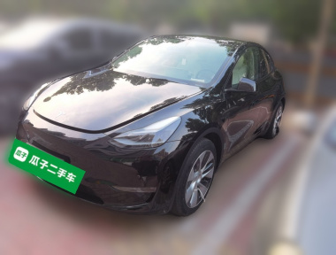 Tesla Model Y 2021 car image 