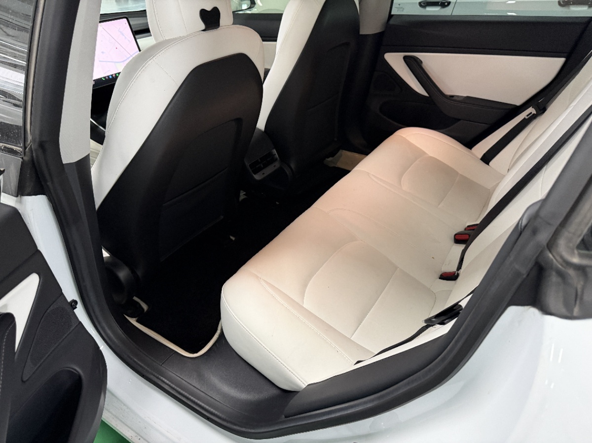Tesla Model 3 (Imported) 2019 #8 Tesla Model 3 (Imported) 2019 immagine di auto #8