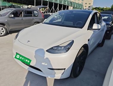 Tesla Model Y 2021 Tesla Model Y 2021 car image
