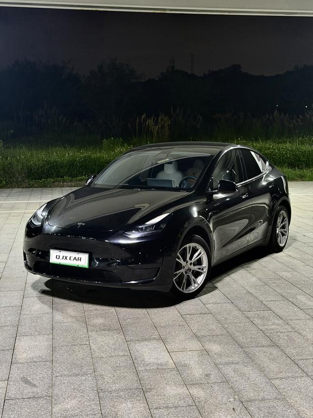 Tesla Model Y 2023 #11 Tesla Model Y 2023 car image #11