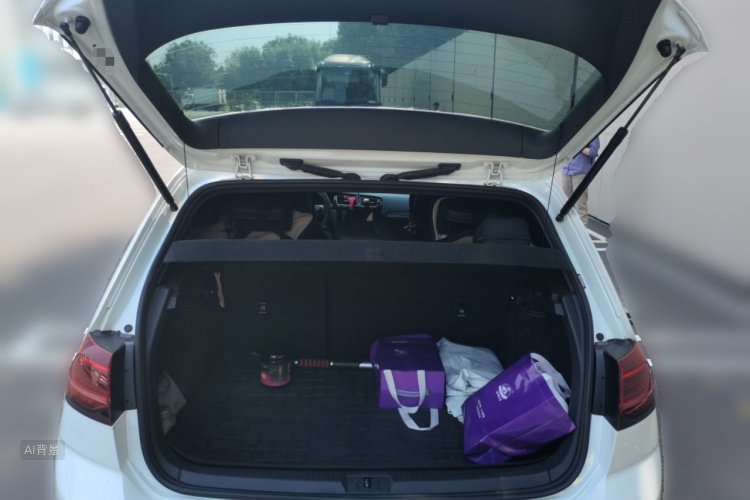 Volkswagen Golf 2019 car image #21