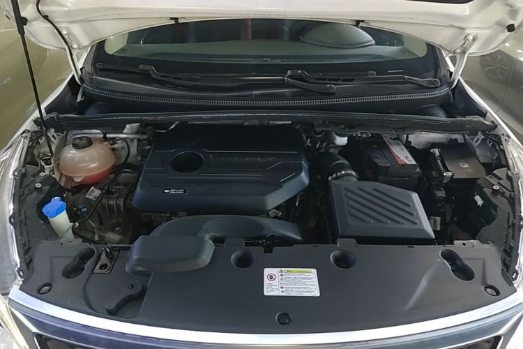 GEELY Emgrand GS 2020 car image #22