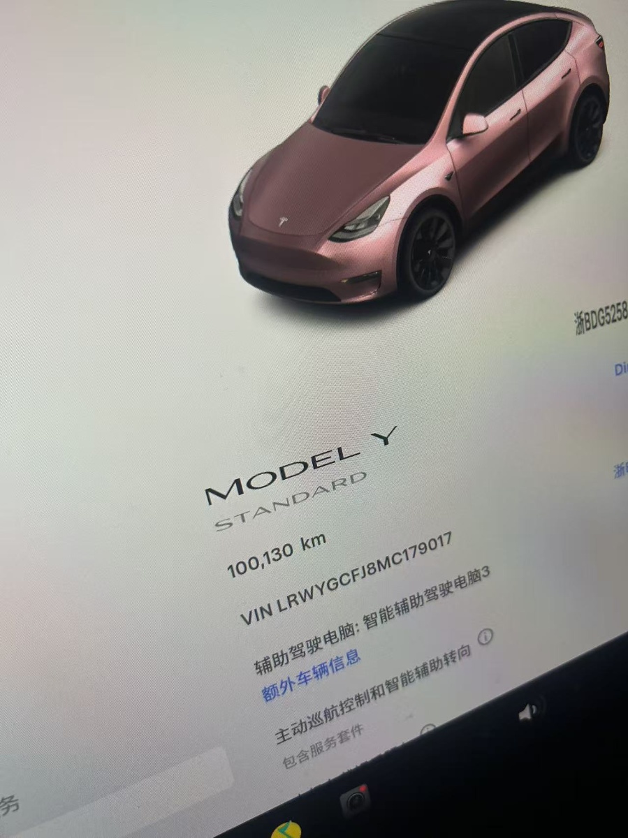 Tesla Model Y 2021 car image #4