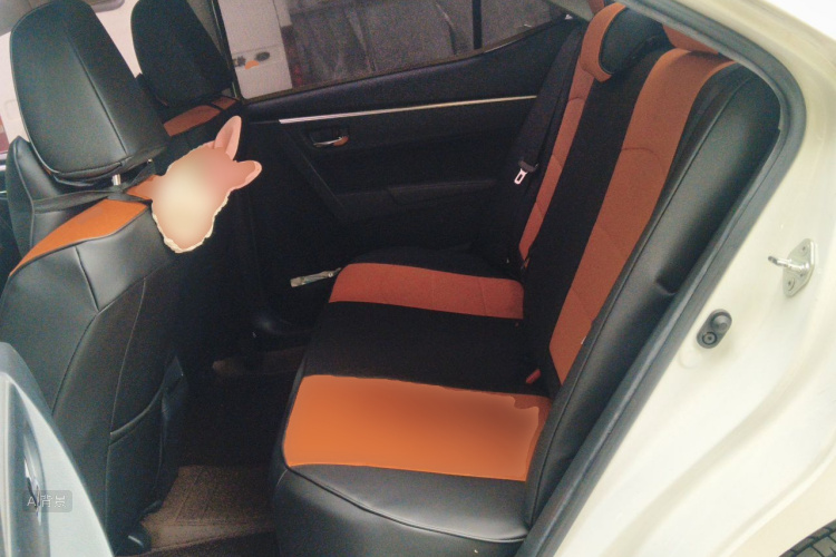 Toyota Corolla 2019 car image #19