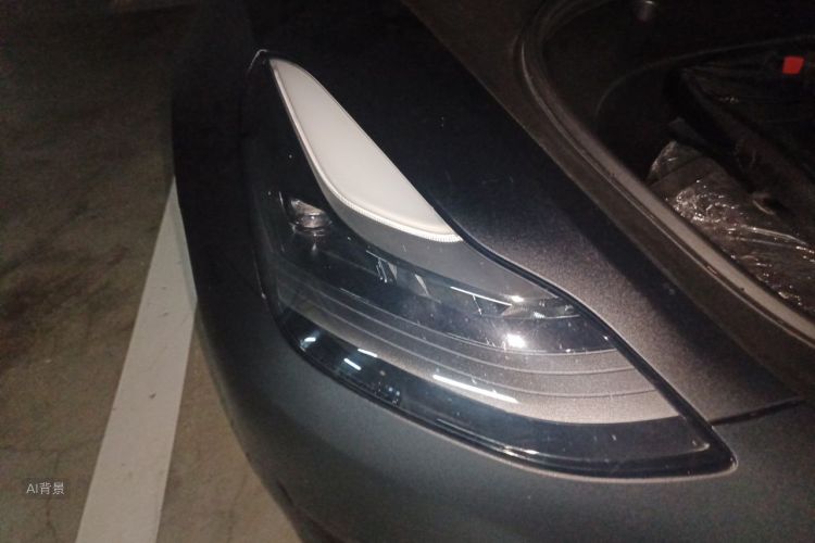Tesla Model 3 2021 car image #8