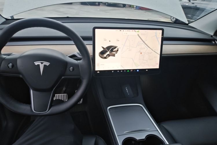 Tesla Model Y 2021 car image #10