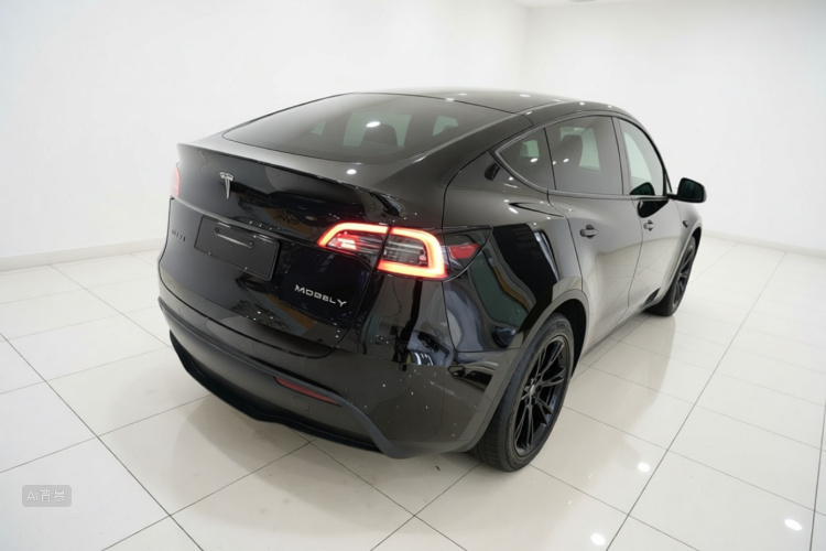 Tesla Model Y 2021 #7 Tesla Model Y 2021 car image #7