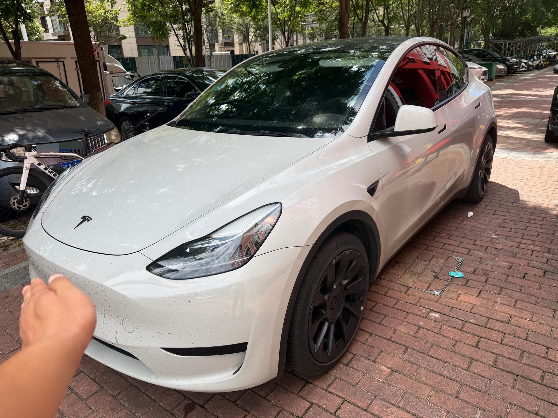 Tesla Model Y 2022 Tesla Model Y 2022 car image