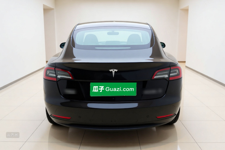 Tesla Model 3 2020 car image #6