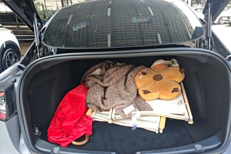 Tesla Model 3 2020 car image #21