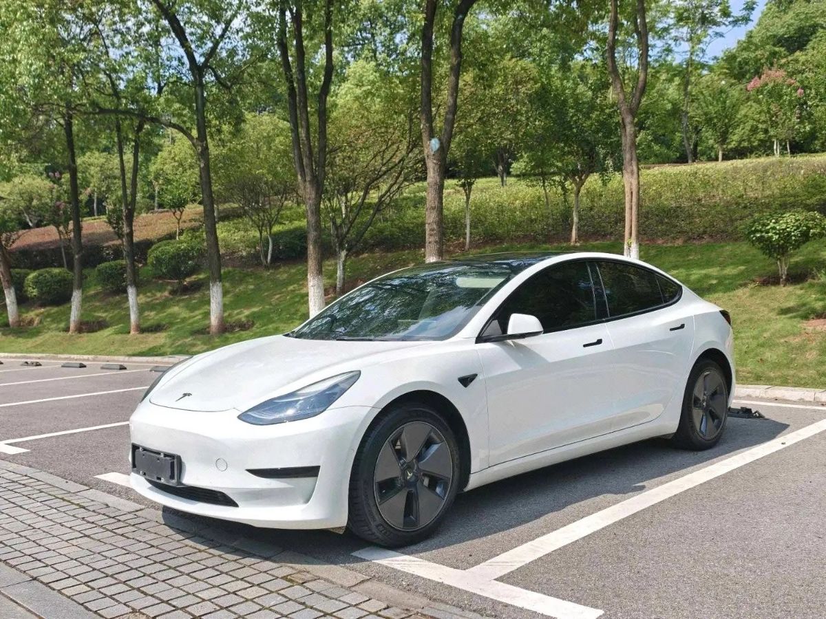 Tesla Model 3 2022 Tesla Model 3 2022 car image