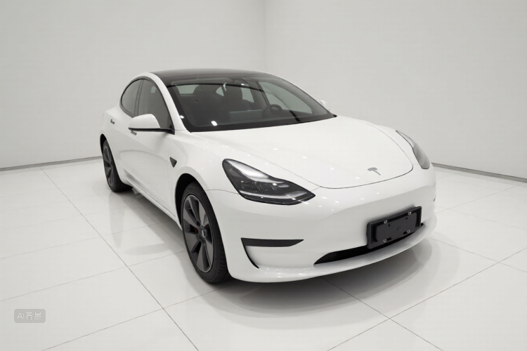 Tesla Model 3 2021 car image #4
