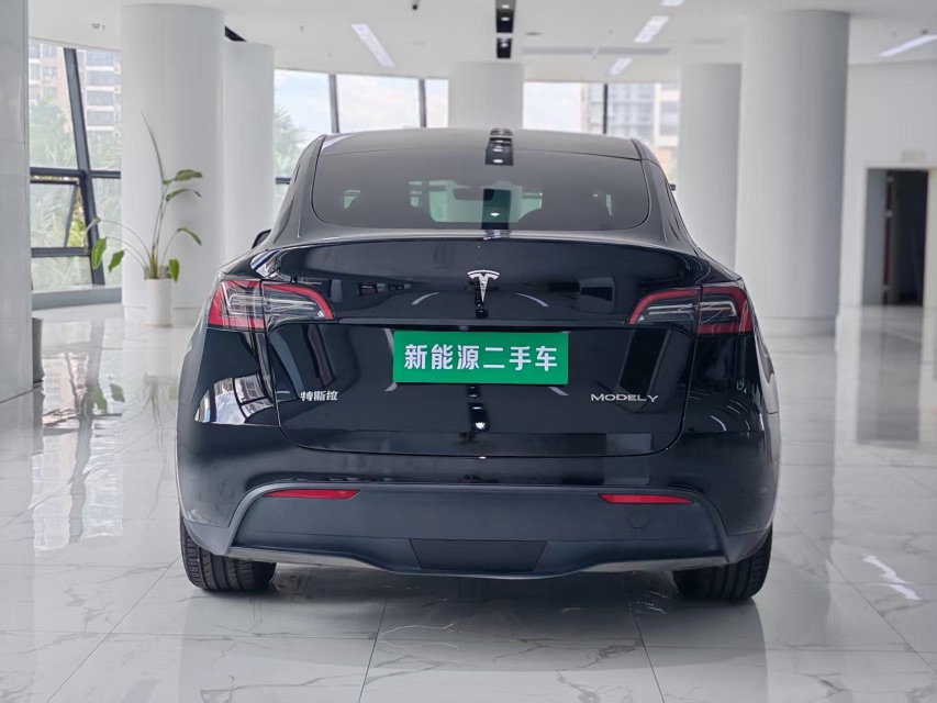 Tesla Model Y 2024 #8 Tesla Model Y 2024 car image #8