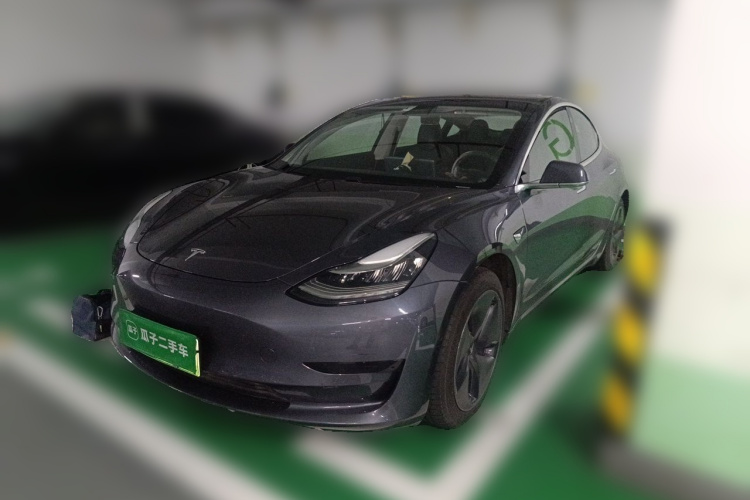 Tesla Model 3 2020 car image #2