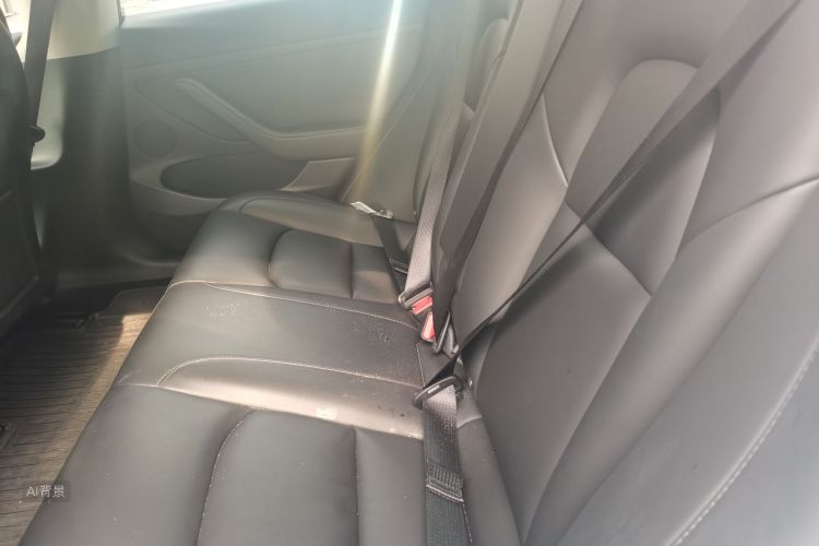 Tesla Model 3 2021 #19 Tesla Model 3 2021 car image #19