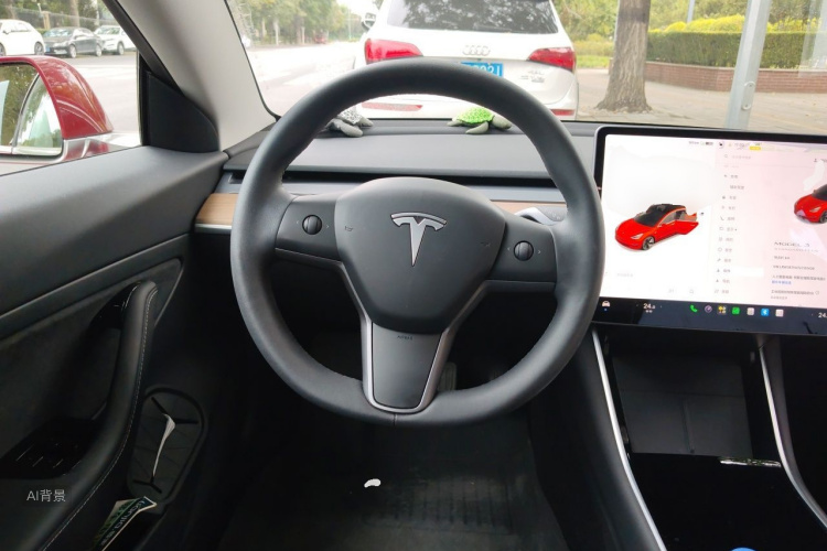 Tesla Model 3 2020 car image #12