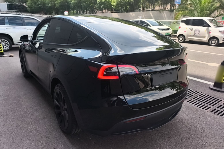 Tesla Model Y 2023 #7 Tesla Model Y 2023 car image #7