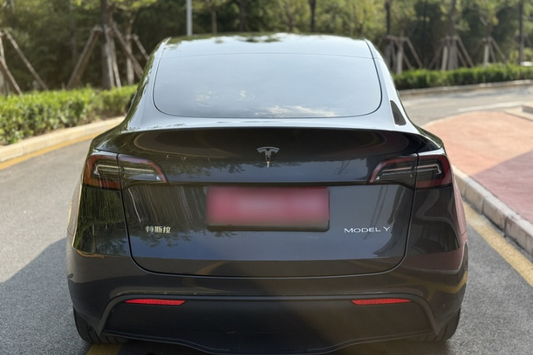 Tesla Model Y 2025 car image #9