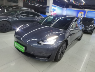 Tesla Model 3 2020 Tesla Model 3 2020 car image