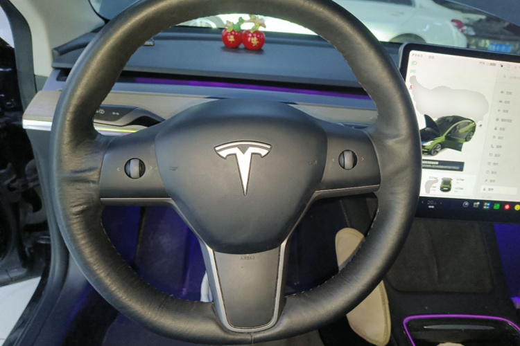 Tesla Model 3 2021 #11 Tesla Model 3 2021 car image #11