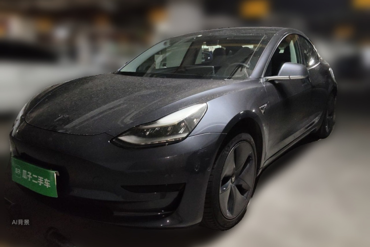 Tesla Model 3 2020 car image #2