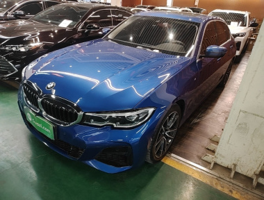 BMW 3 Series 2019 car image 