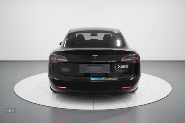Tesla Model 3 2023 car image #6
