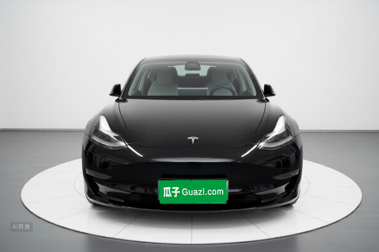 Tesla Model 3 2021 #3 Tesla Model 3 2021 car image #3