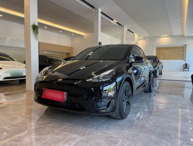 Tesla Model Y 2023 Tesla Model Y 2023 car image
