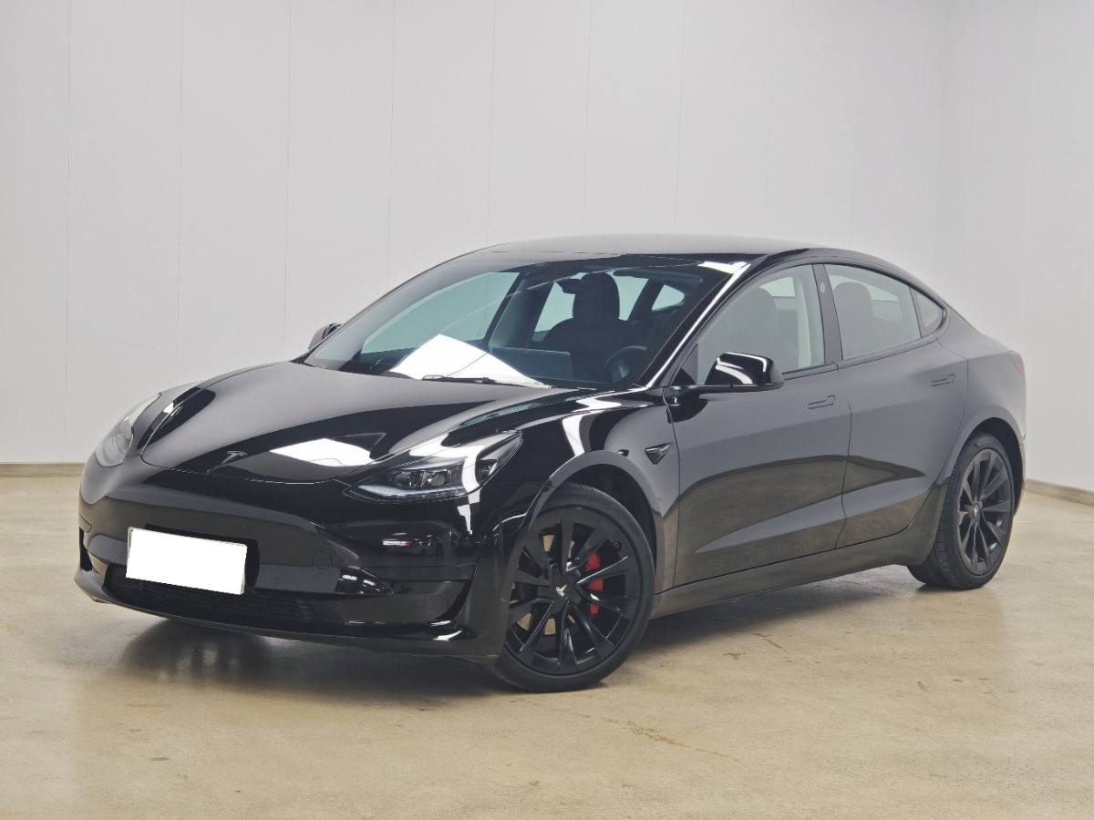 Tesla Model 3 2021 Tesla Model 3 2021 car image