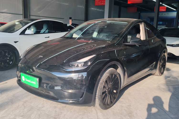 Tesla Model Y 2002 #2 Tesla Model Y 2002 car image #2