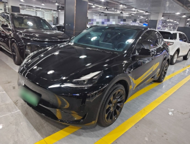 Tesla Model Y 2022 Tesla Model Y 2022 car image