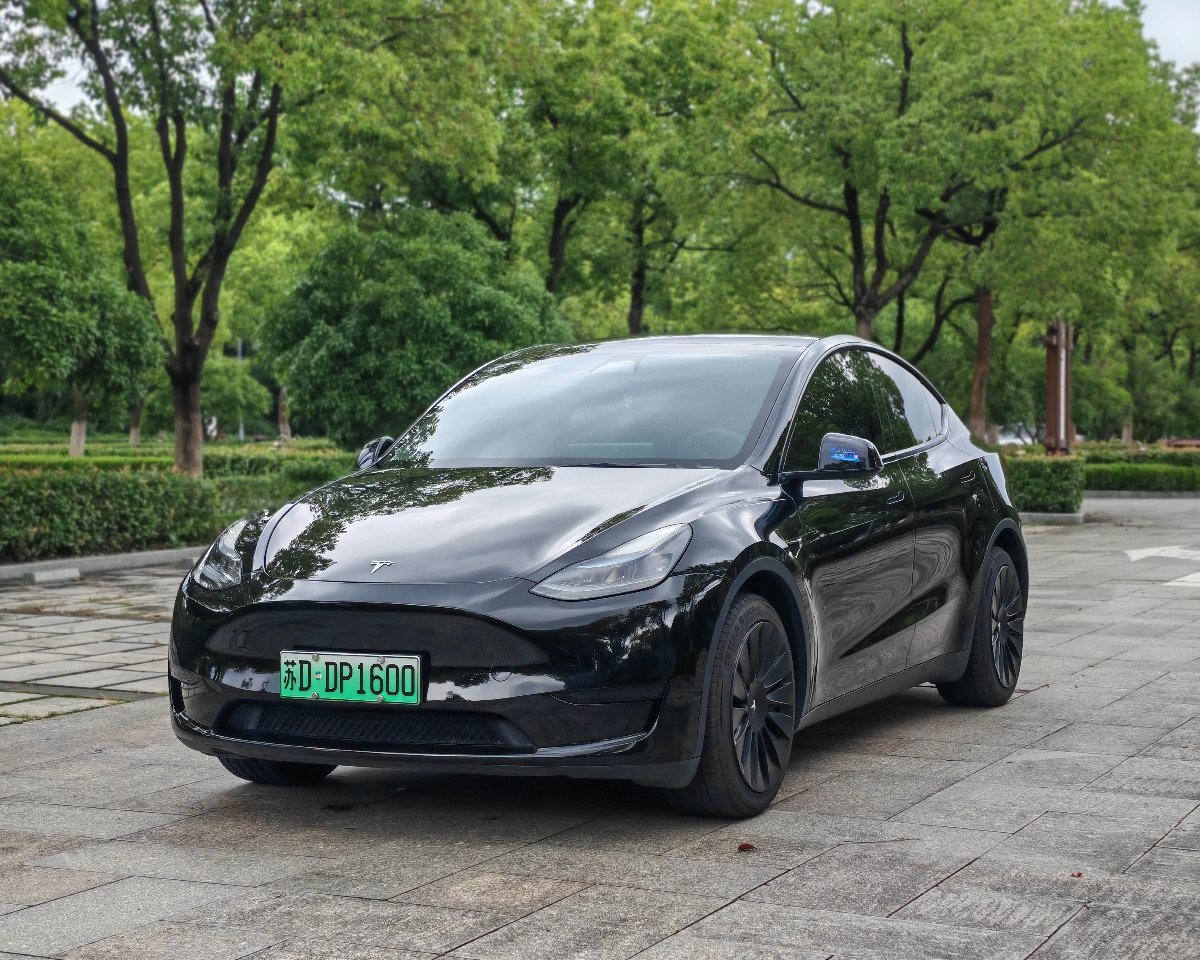 Tesla Model Y 2022 Tesla Model Y 2022 car image