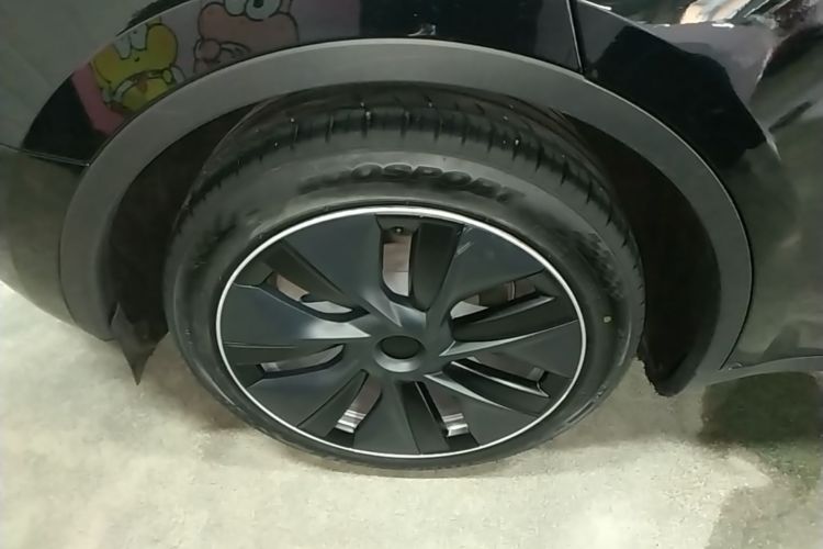 Tesla Model Y 2023 car image #10