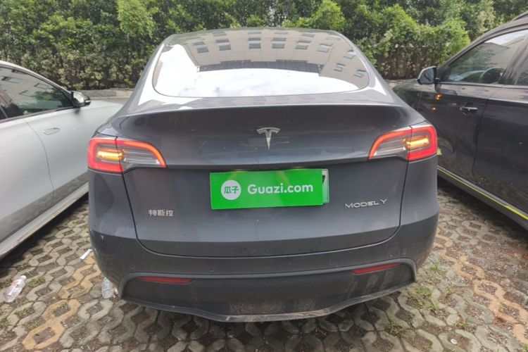 Tesla Model Y 2021 car image #6