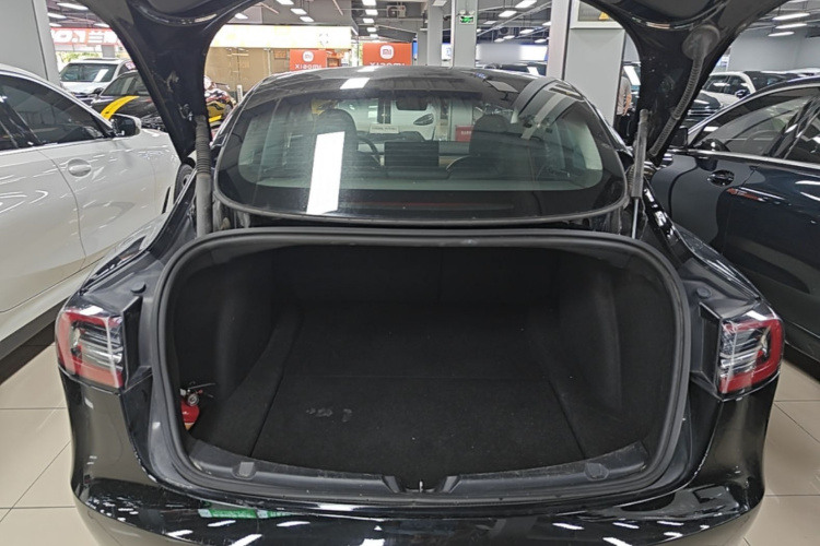 Tesla Model 3 2023 car image #21