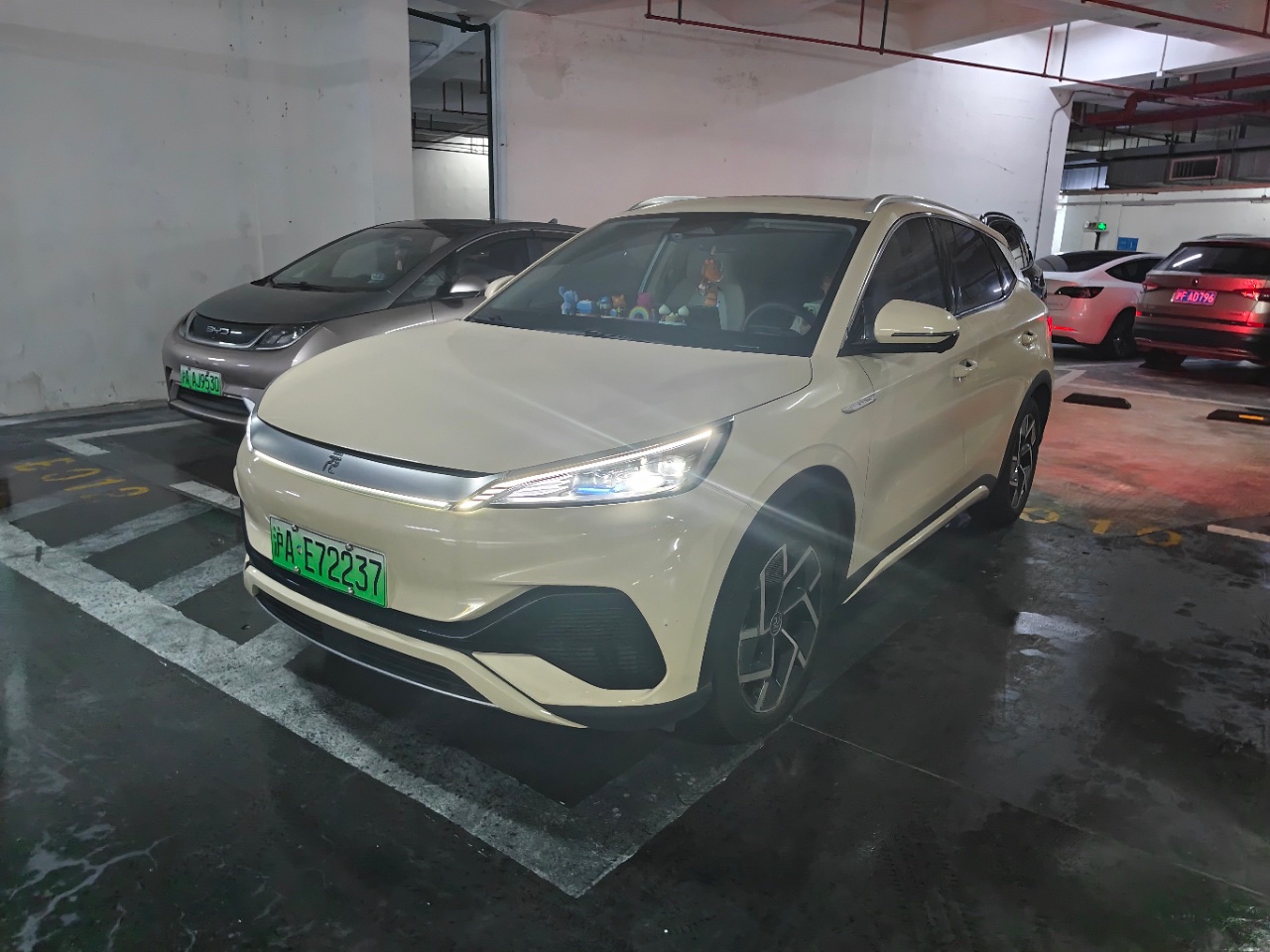 BYD Yuan Plus 2024 car image 