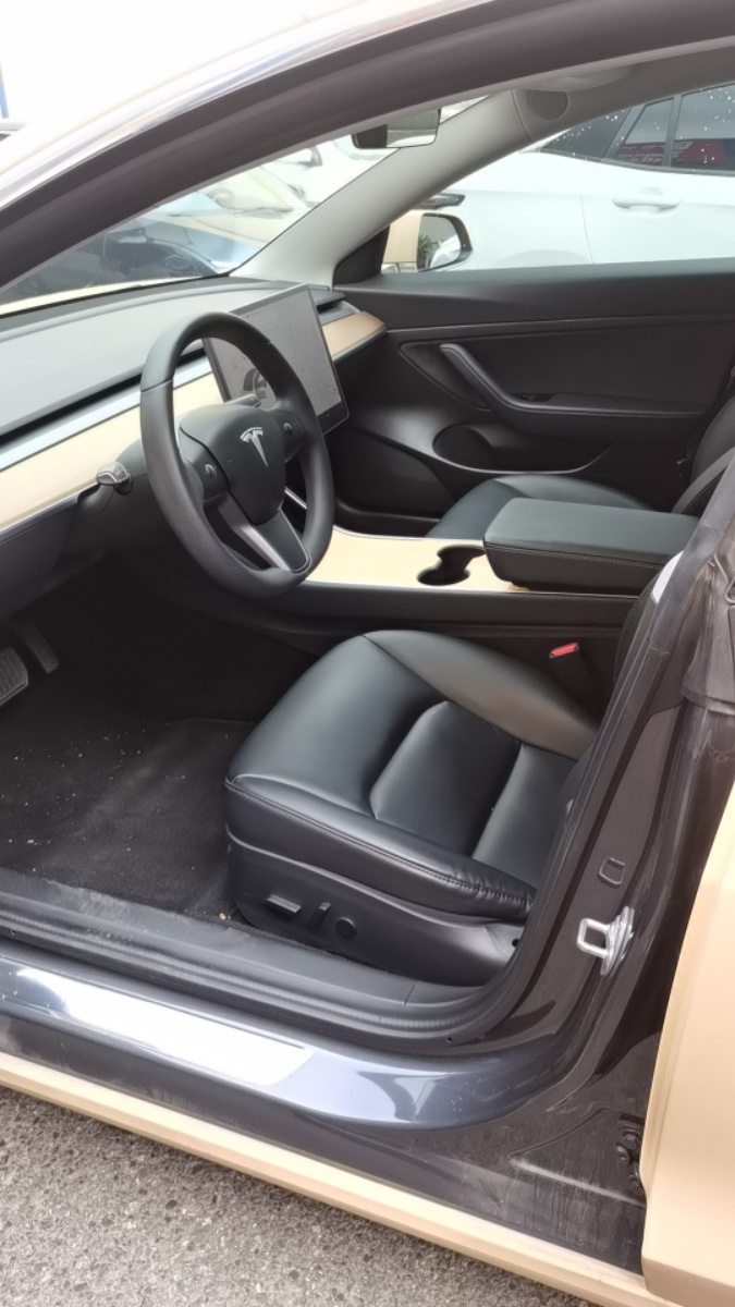 Tesla Model 3 2020 car image #6