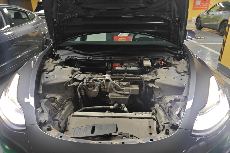 Tesla Model 3 2020 #20 Tesla Model 3 2020 car image #20