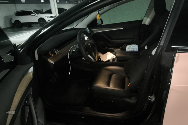Tesla Model 3 2023 car image #17