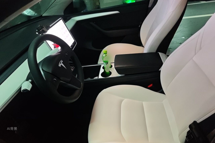 Tesla Model Y 2021 car image #17