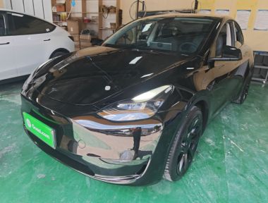 Tesla Model Y 2022 Tesla Model Y 2022 car image