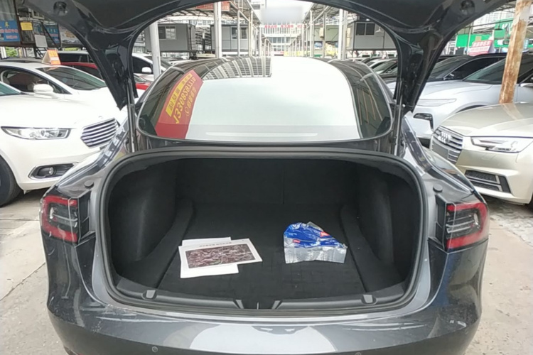 Tesla Model 3 2020 #21 Tesla Model 3 2020 car image #21