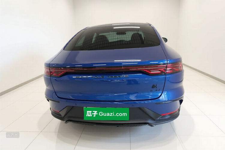 BYD Han 2022 car image #6