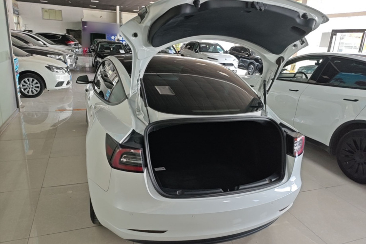 Tesla Model 3 2020 #19 Tesla Model 3 2020 car image #19