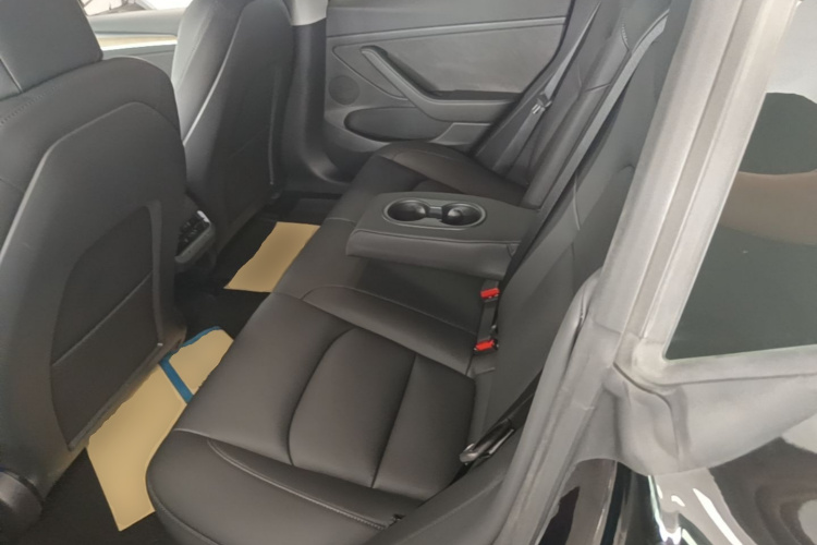 Tesla Model 3 2021 #17 Tesla Model 3 2021 car image #17