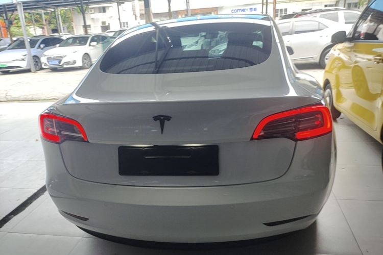Tesla Model 3 2020 car image #4